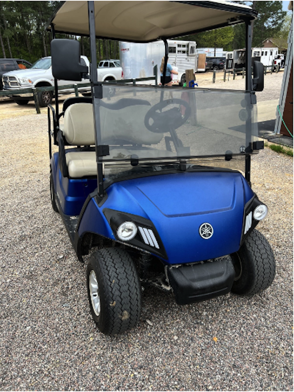 photo of a blue electric golf cart
